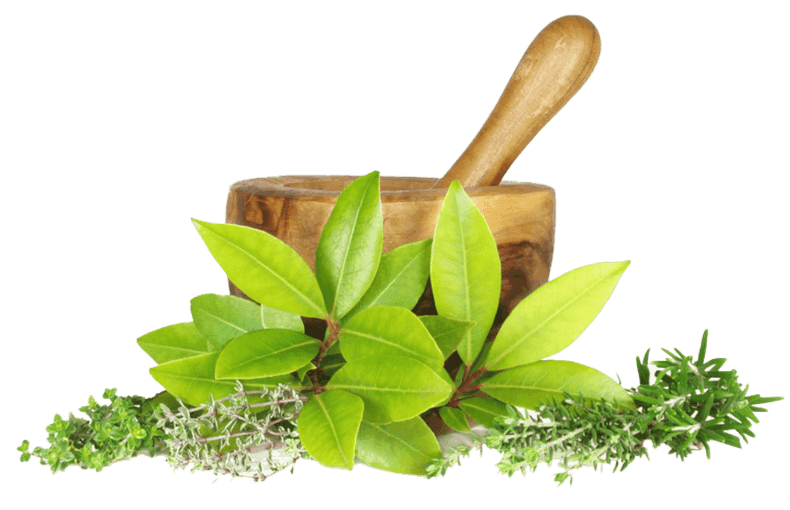 Vedamrita Hospitals - Integrating Wellness, Wisdom & Innovation